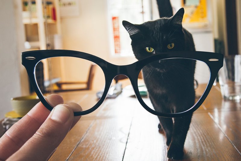 10 superstitii legate de mancare - ghinionul si norocul din bucatarie